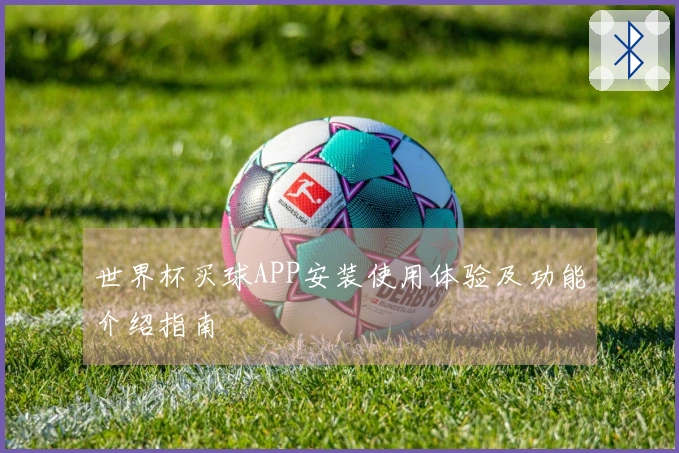 世界杯买球APP安装使用体验及功能介绍指南