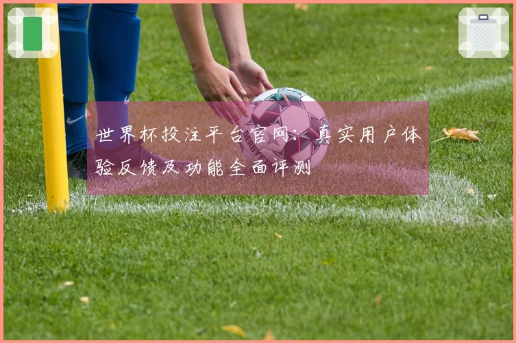 世界杯投注平台官网：真实用户体验反馈及功能全面评测