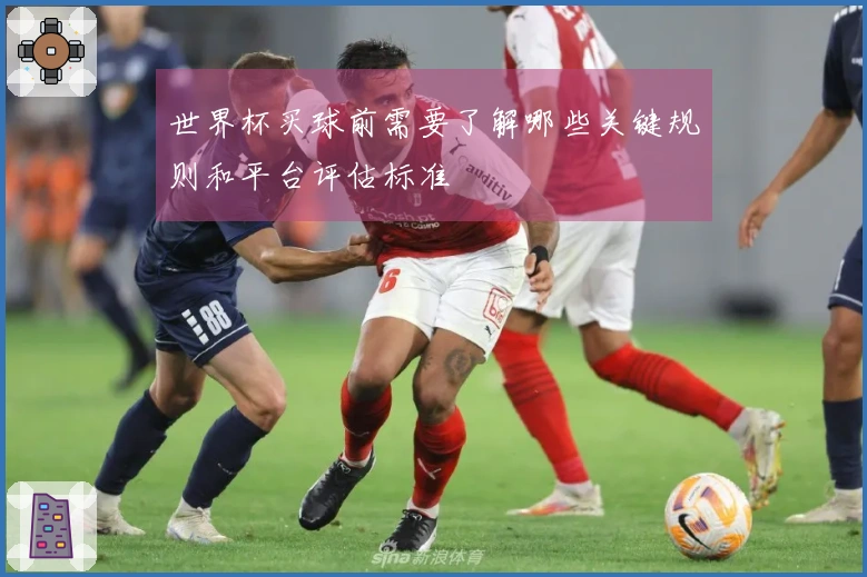 世界杯买球前需要了解哪些关键规则和平台评估标准