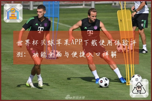 世界杯买球苹果APP下载使用体验评测：功能全面与便捷入口详解
