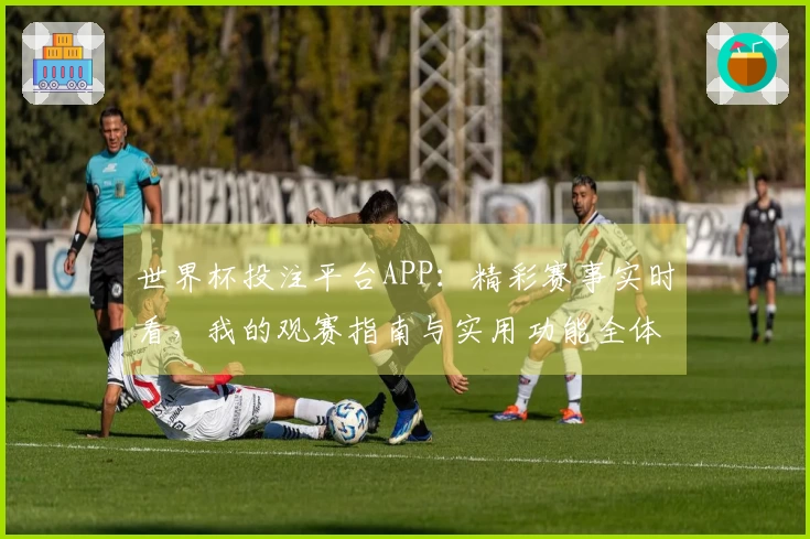 世界杯投注平台APP：精彩赛事实时看，我的观赛指南与实用功能全体验