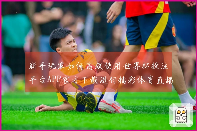 新手玩家如何高效使用世界杯投注平台APP官方下载进行精彩体育直播体验