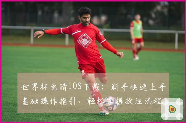 世界杯竞猜iOS下载：新手快速上手基础操作指引，轻松掌握投注流程