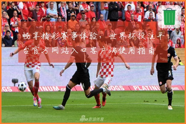 畅享精彩赛事体验,世界杯投注平台官方网站入口客户端使用指南