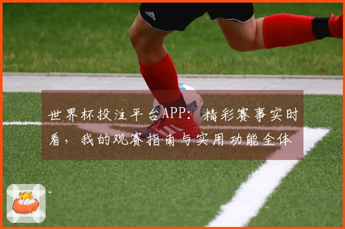 世界杯投注平台APP:精彩赛事实时看,我的观赛指南与实用功能全体验