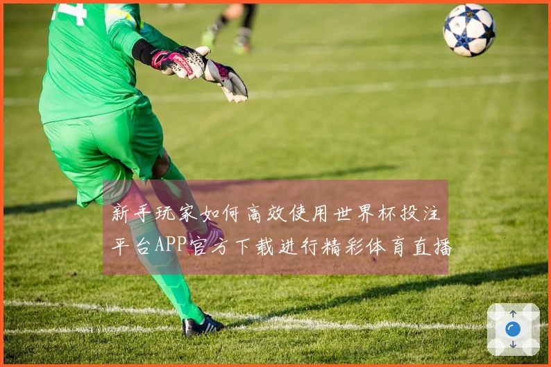 新手玩家如何高效使用世界杯投注平台APP官方下载进行精彩体育直播体验