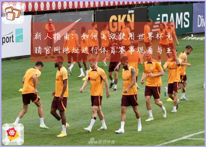 新人指南:如何高效使用世界杯竞猜官网地址进行体育赛事观看与互动