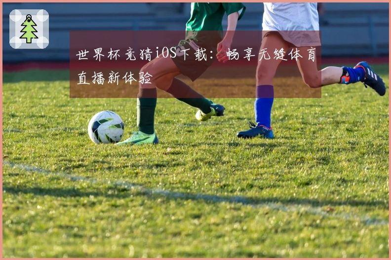 世界杯竞猜iOS下载：畅享无缝体育直播新体验